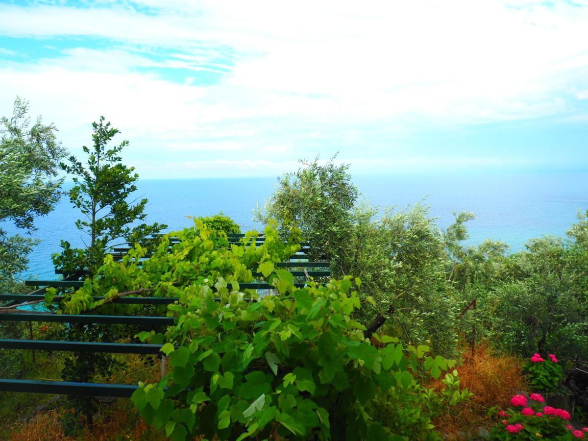 Felitsia Apartments & Studios Agios Ioannis  Buitenkant foto