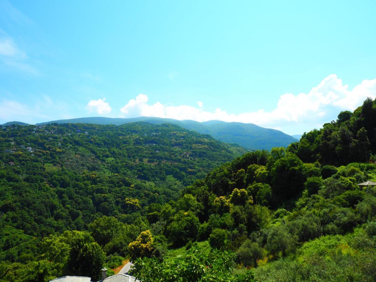 Felitsia Apartments & Studios Agios Ioannis  Buitenkant foto