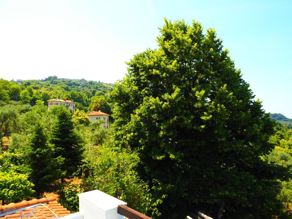 Felitsia Apartments & Studios Agios Ioannis  Buitenkant foto