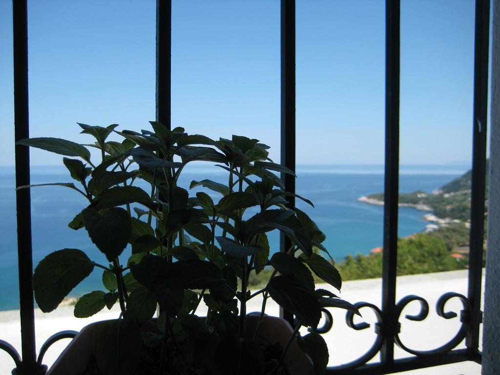 Felitsia Apartments & Studios Agios Ioannis  Buitenkant foto